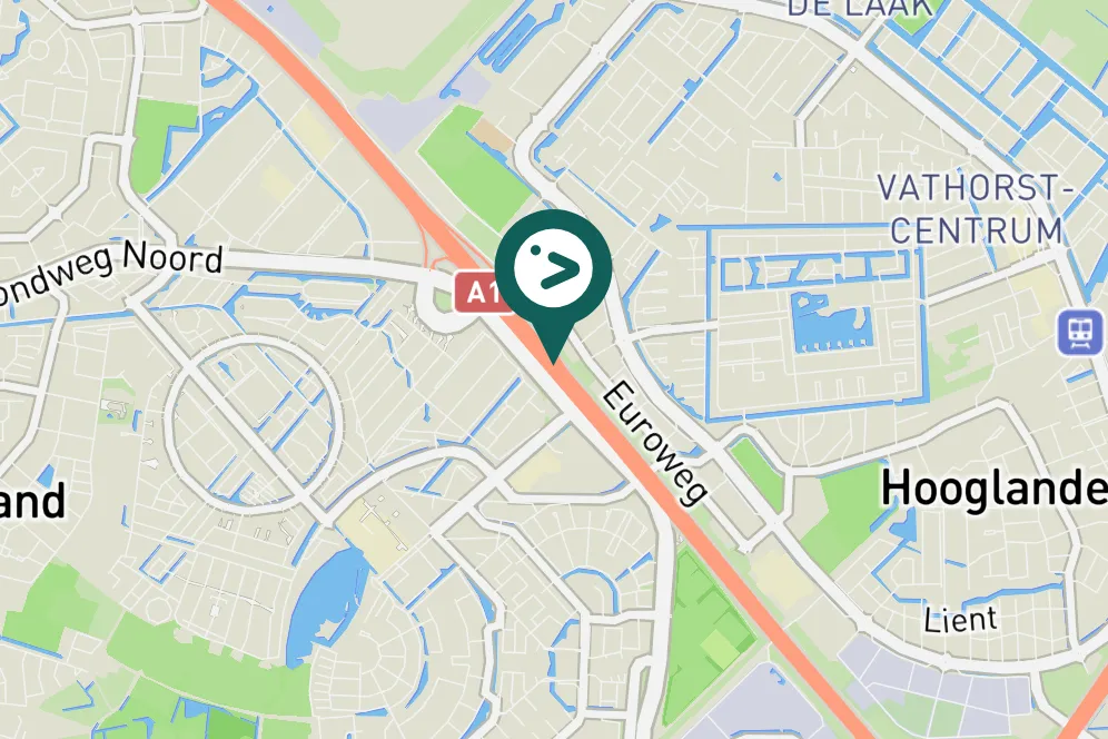 Spotted Common Buzzard