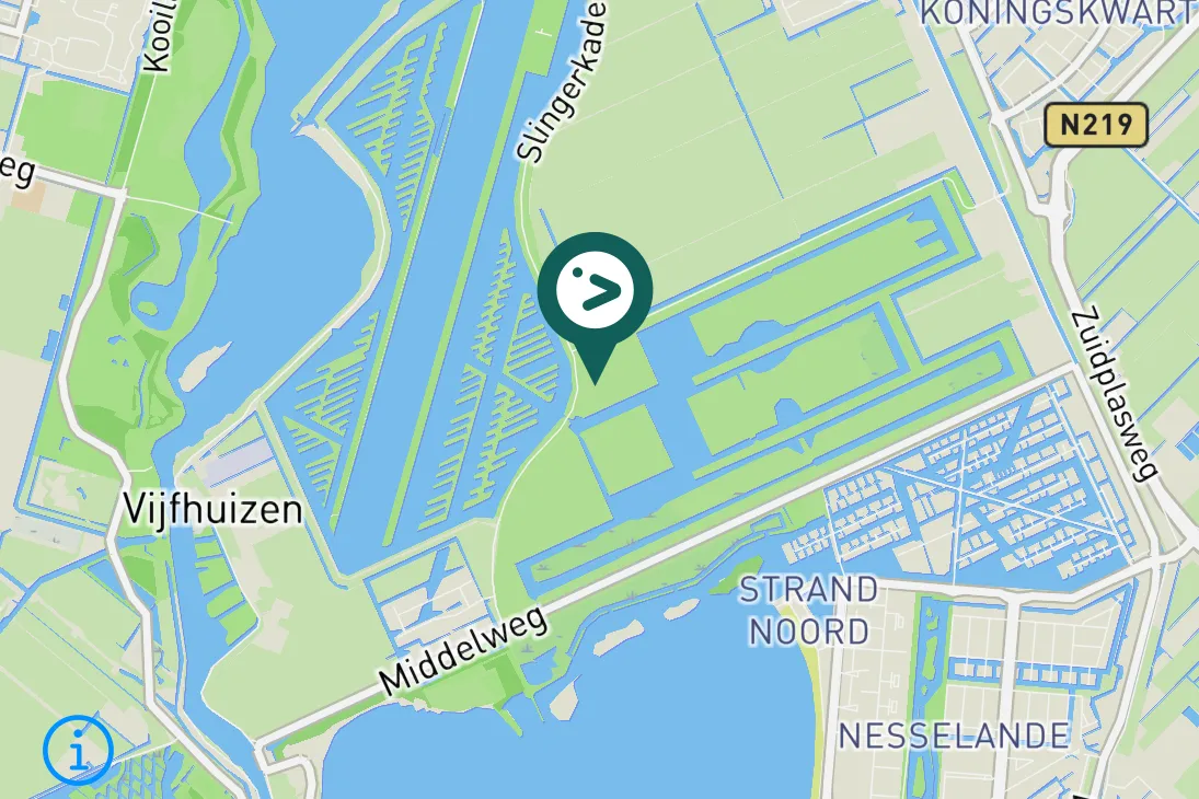 Spotted Savi's Warbler