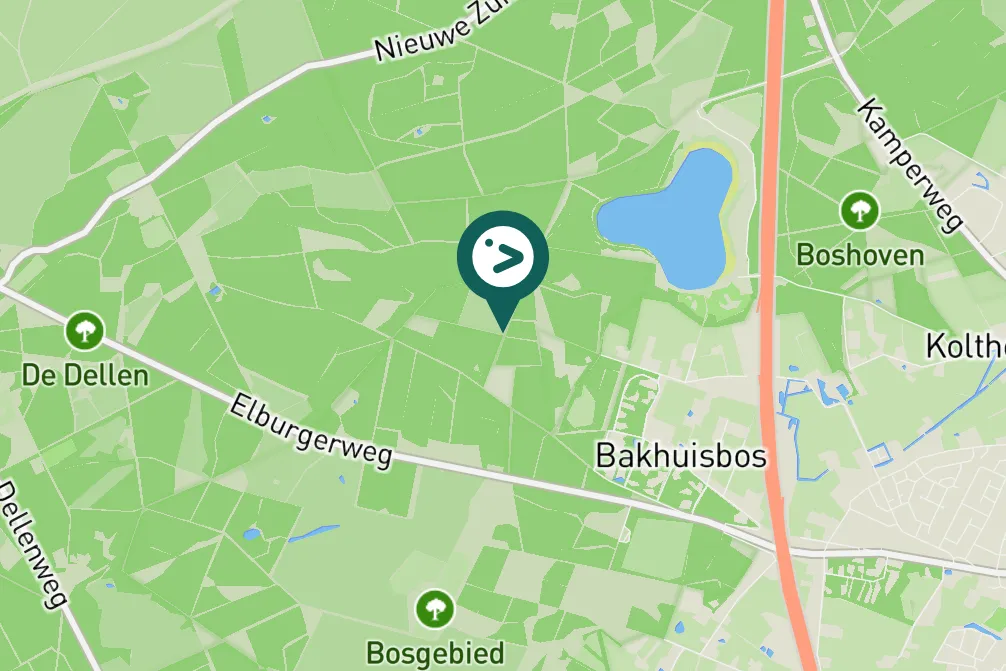 Spotted European Robin