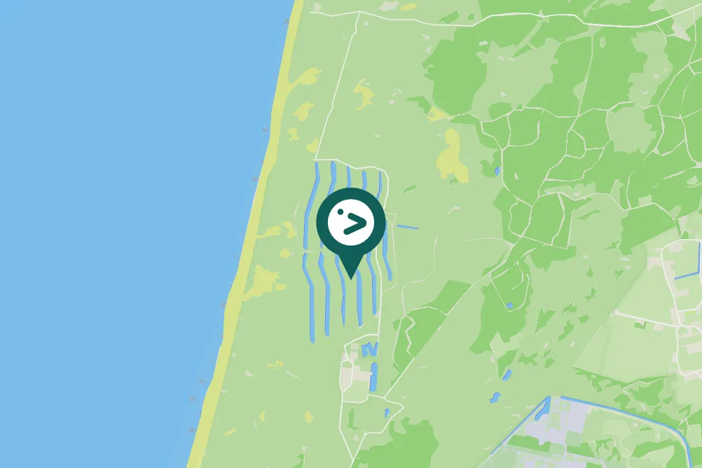 Spotted Isabelline Shrike