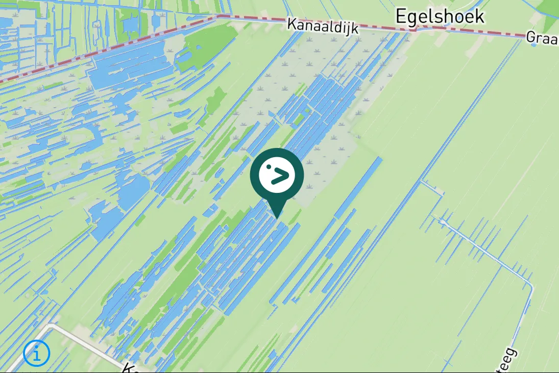 Spotted Green Sandpiper