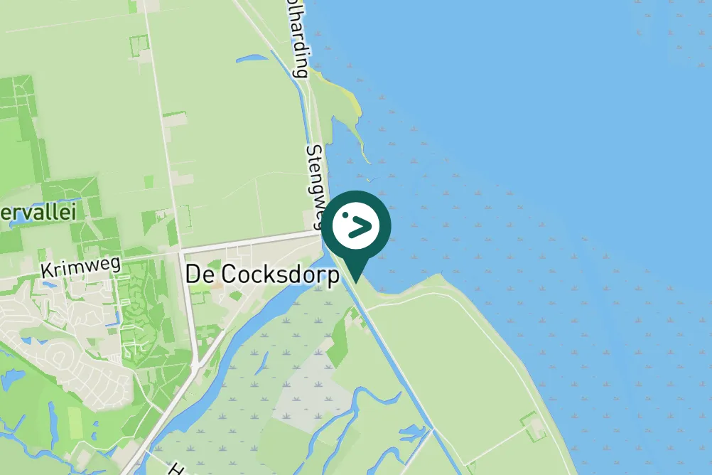 Spotted Sandwich Tern