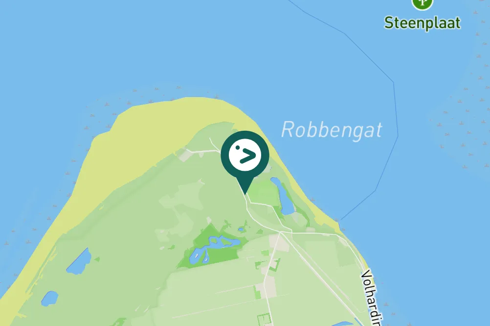 Spotted Western Yellow Wagtail