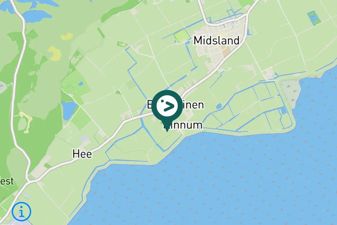 Spotted Lapland Longspur