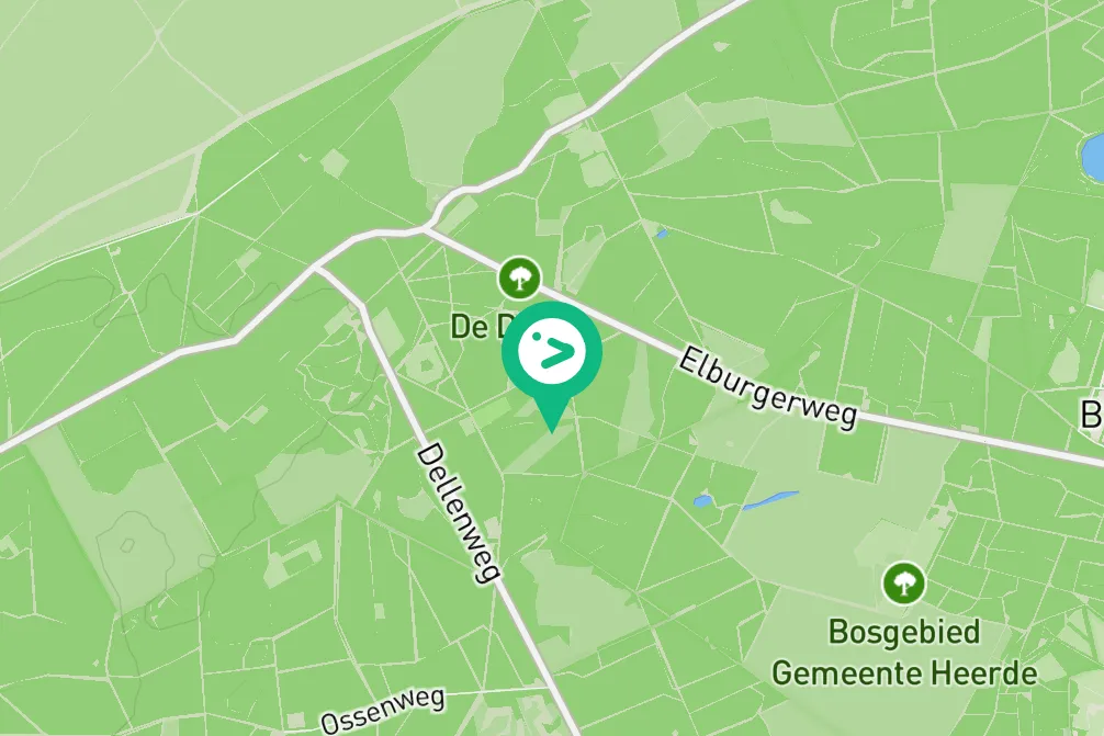 Spotted Great Spotted Woodpecker