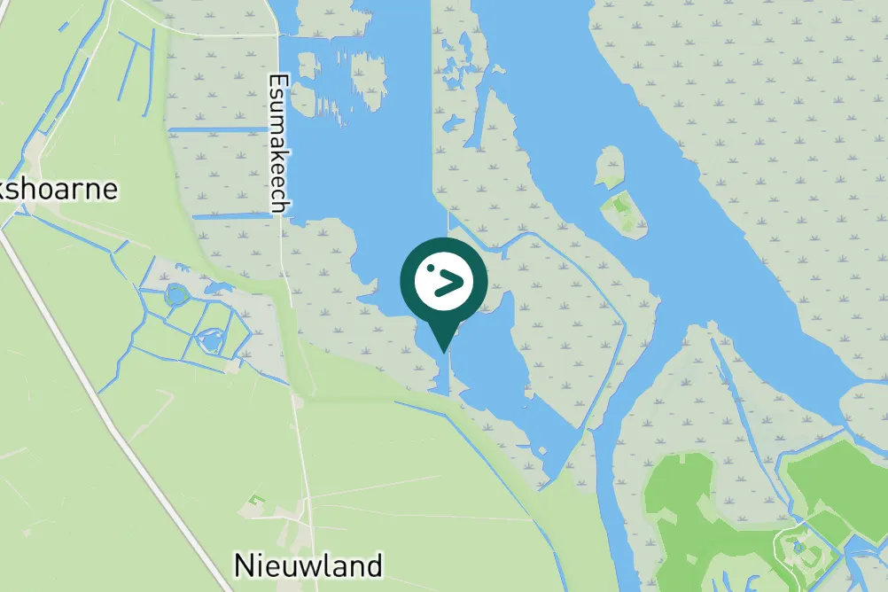 Spotted Curlew Sandpiper