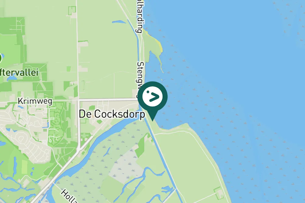 Spotted Bar-tailed Godwit