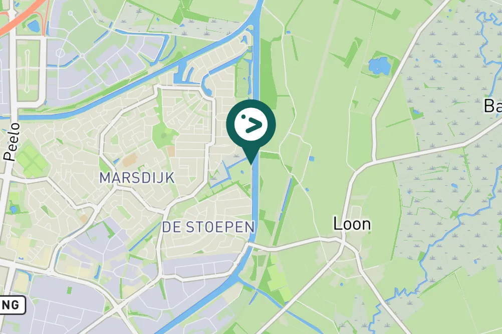 Spotted Common Chiffchaff