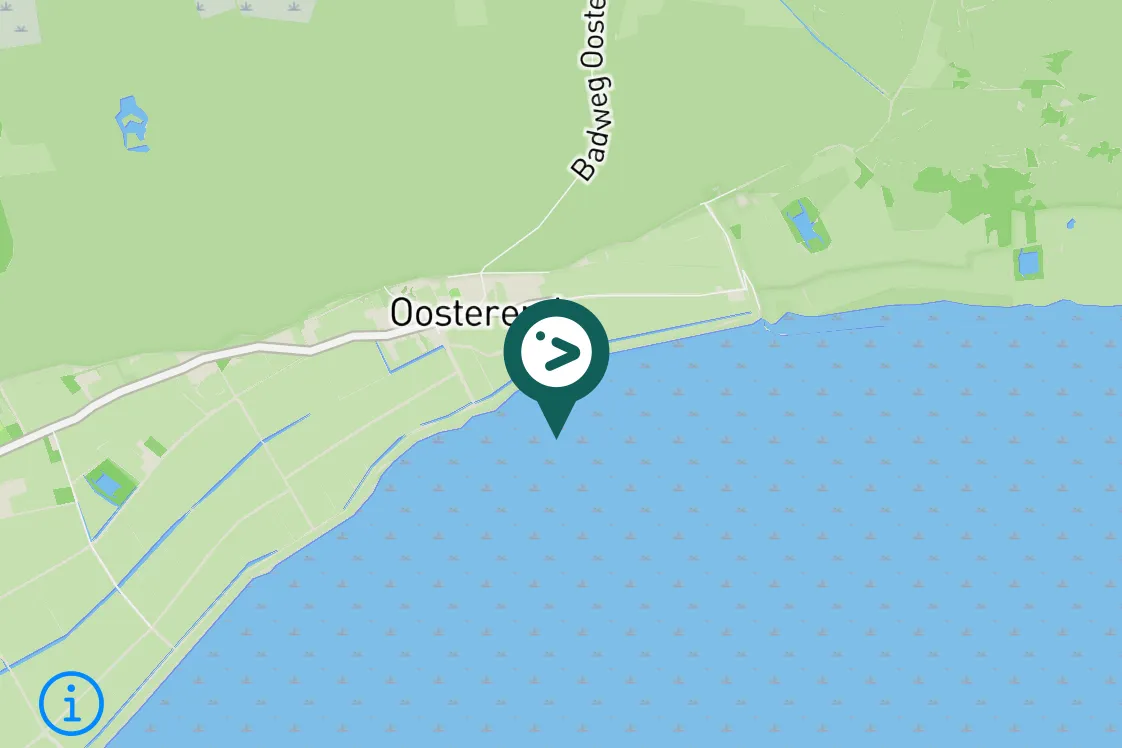 Spotted Eurasian Curlew