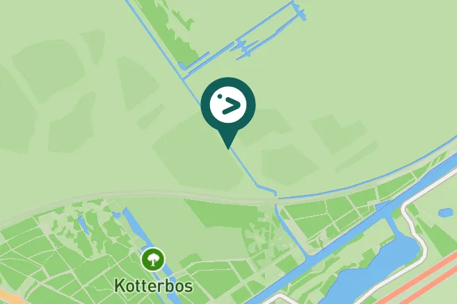 Spotted Common Buzzard