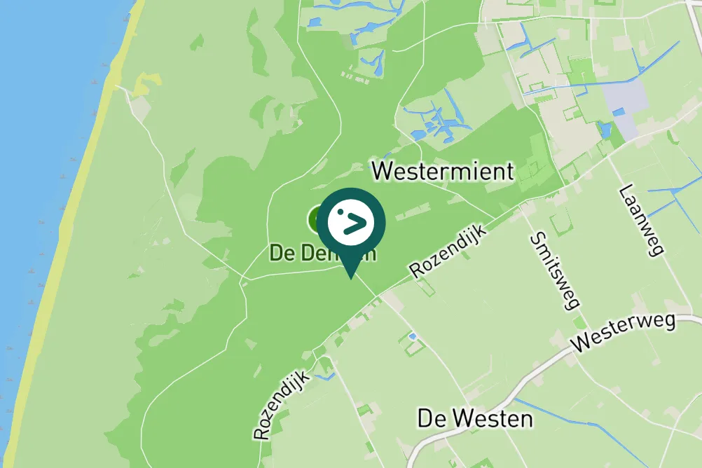 Spotted Red Crossbill