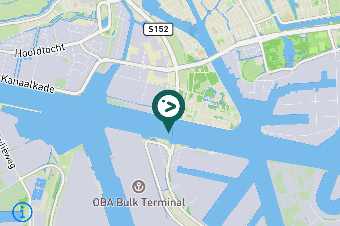 Spotted Western House-Martin