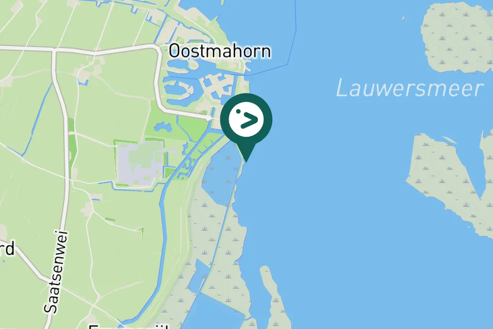 Spotted White-tailed Eagle