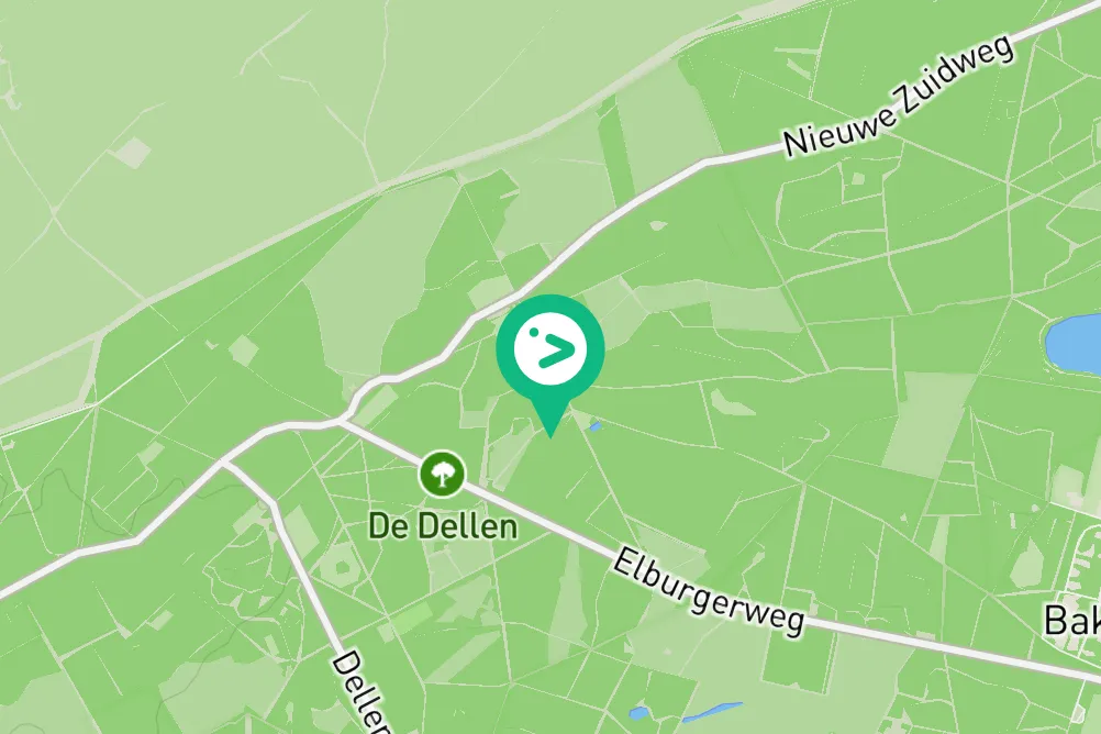 Spotted Spotted Flycatcher