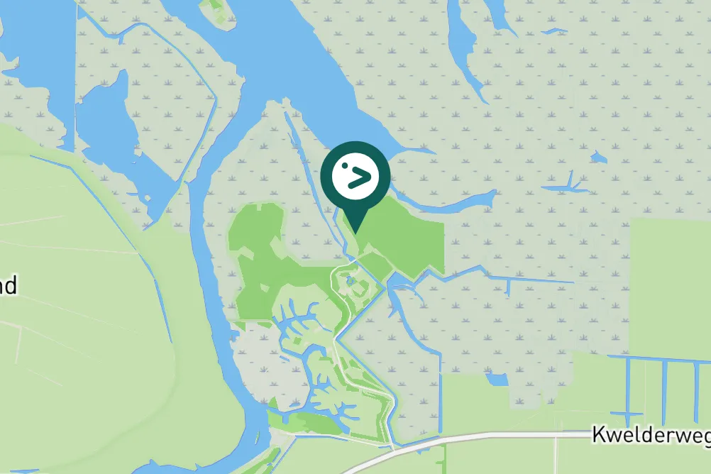 Spotted Eurasian Kestrel