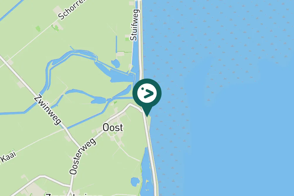 Spotted Common Greenshank