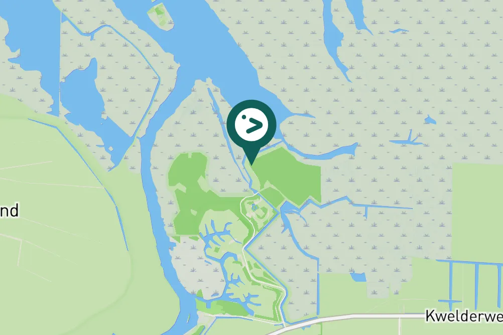 Spotted European Goldfinch