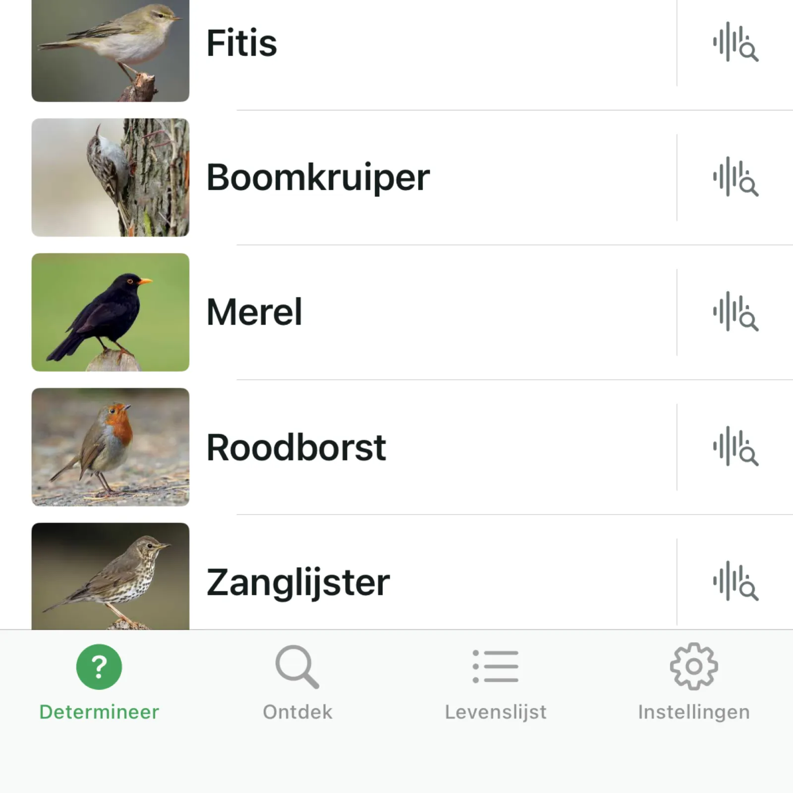 Waargenomen Merel