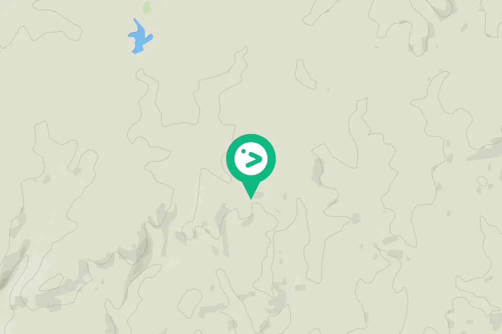 Spotted Common Ostrich