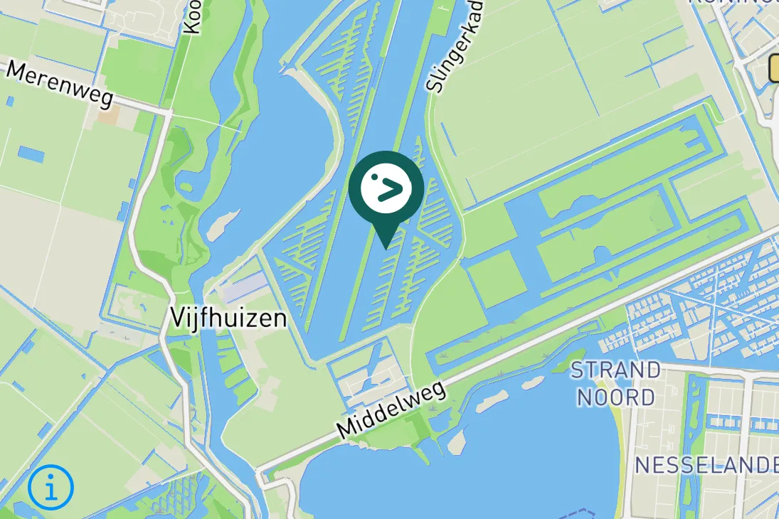 Spotted Caspian Gull