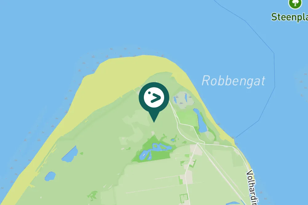 Spotted Northern Wheatear