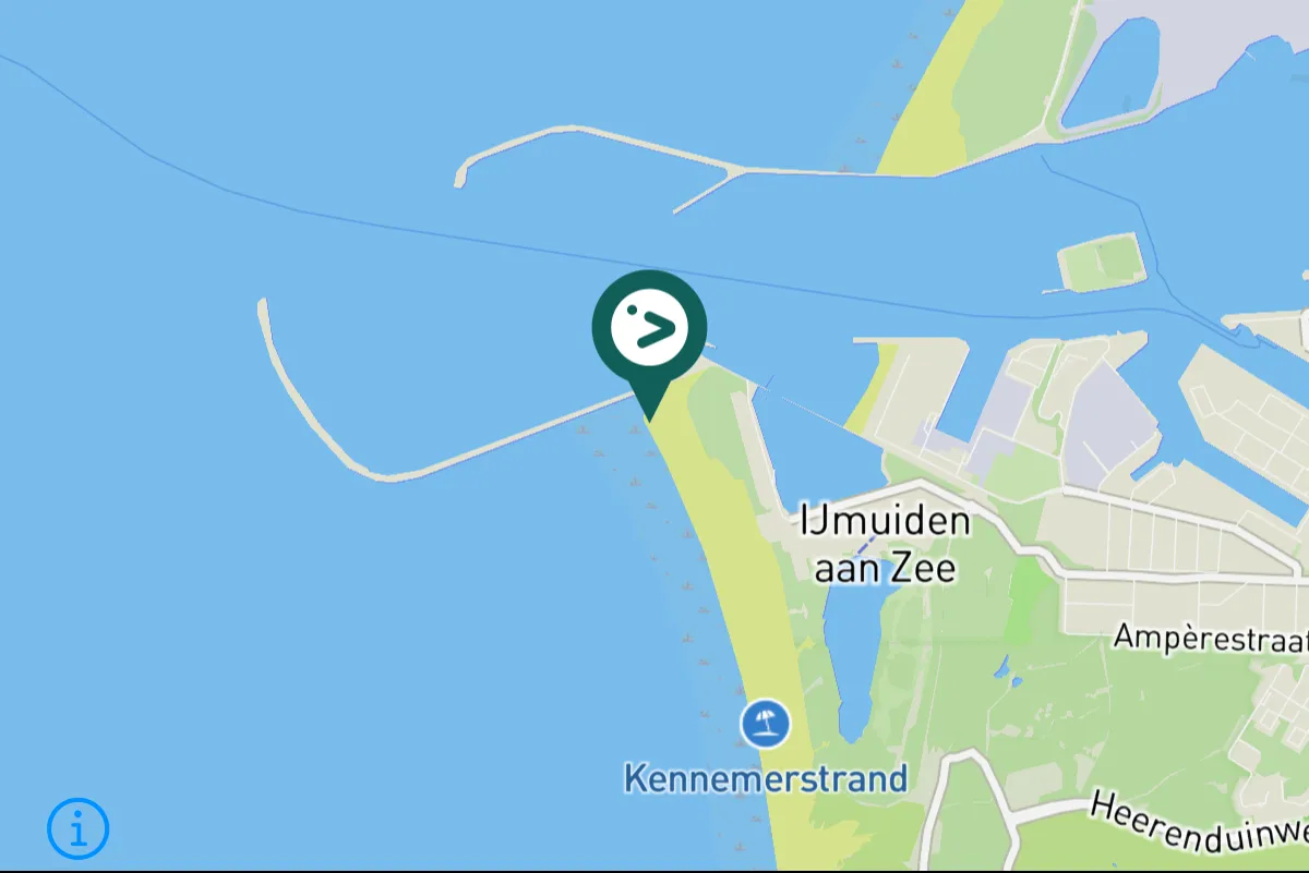 Spotted Snow Bunting