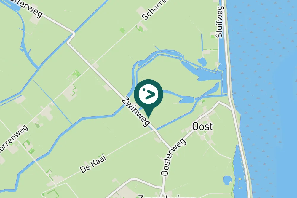 Spotted Common Sandpiper