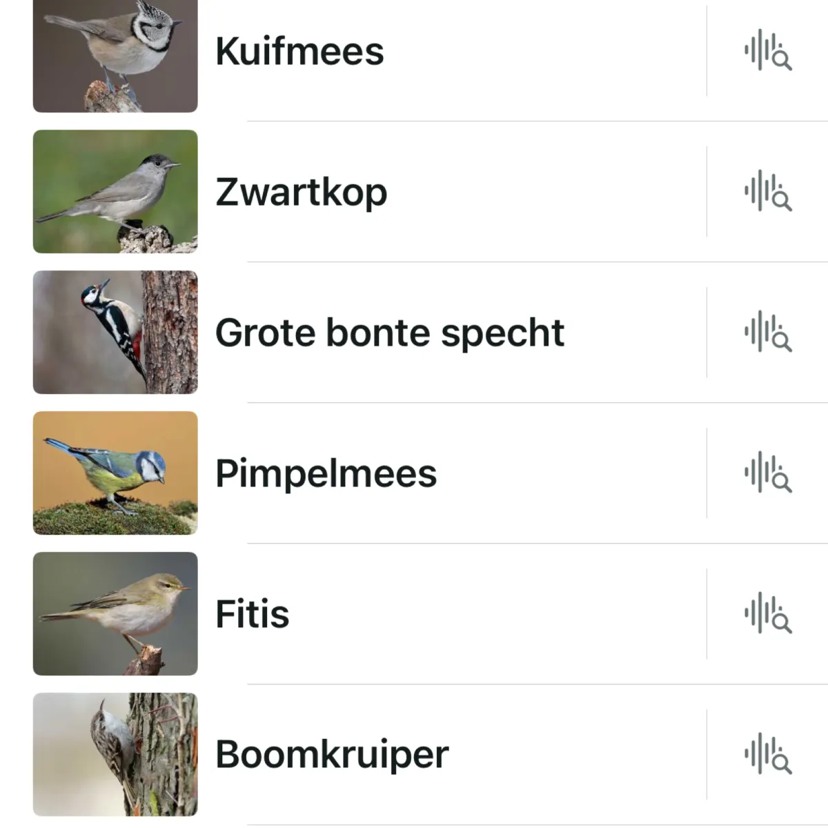 Waargenomen Kuifmees