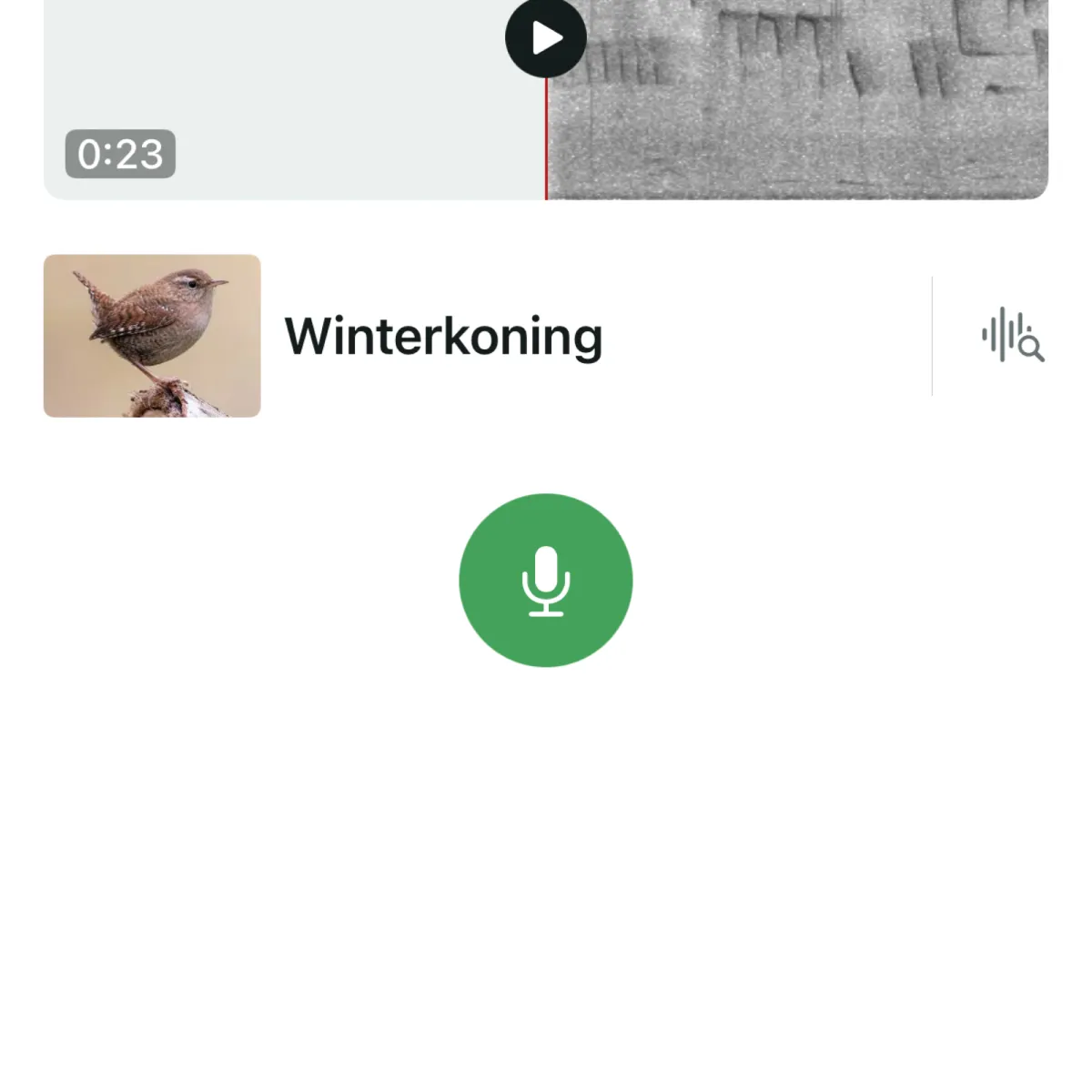 Waargenomen Winterkoning