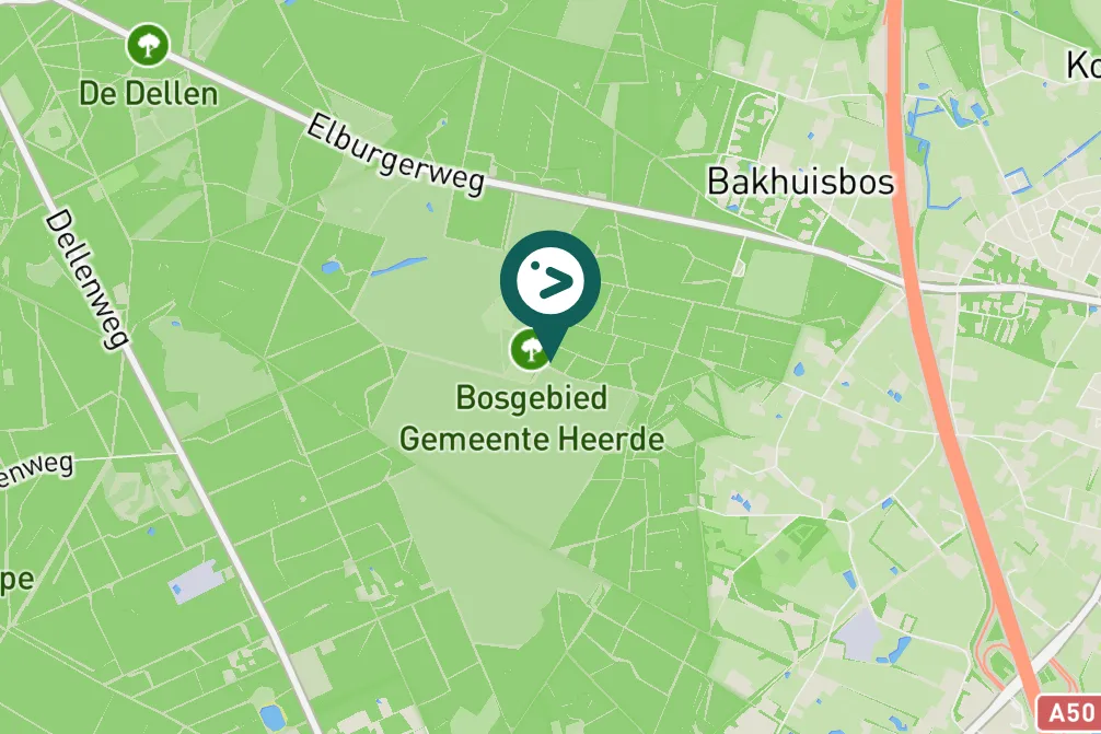 Gespotte Grote bonte specht