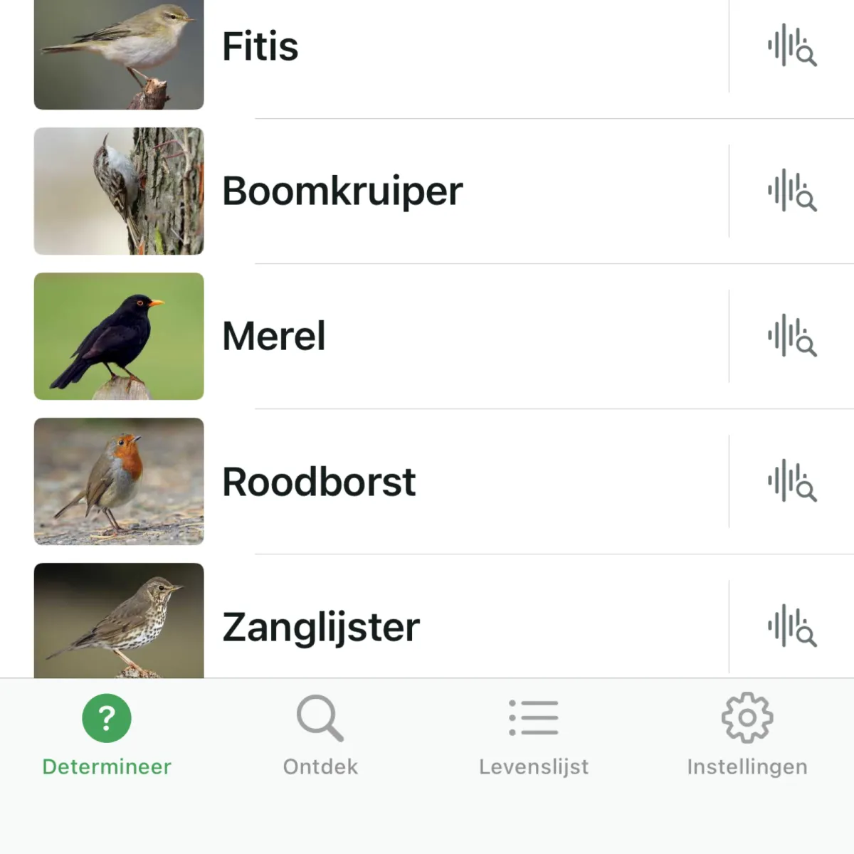 Waargenomen Merel