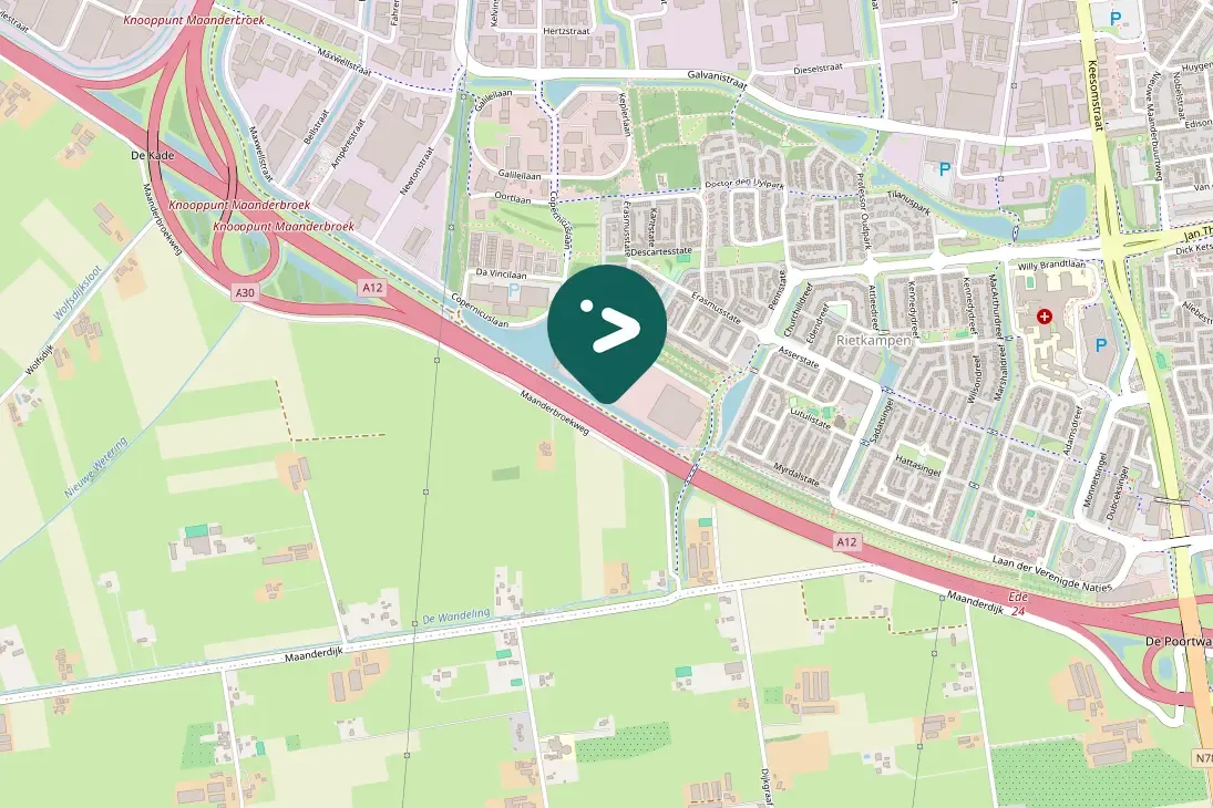 Spotted Eurasian Moorhen