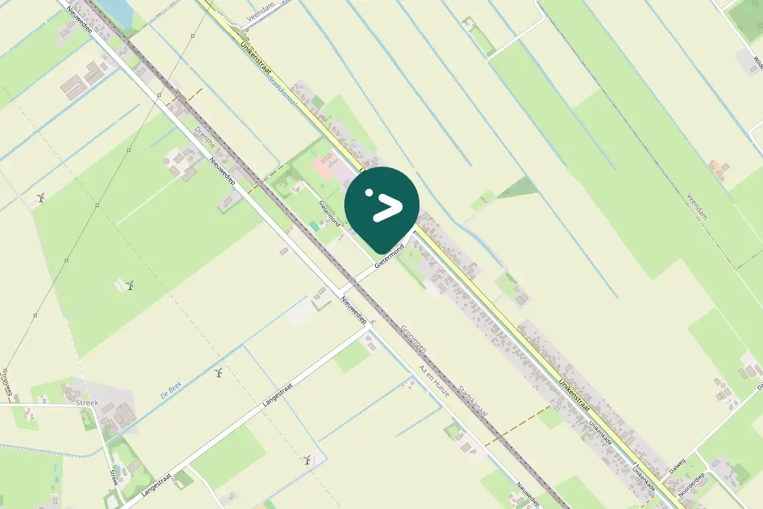 Spotted Greater White-fronted Goose