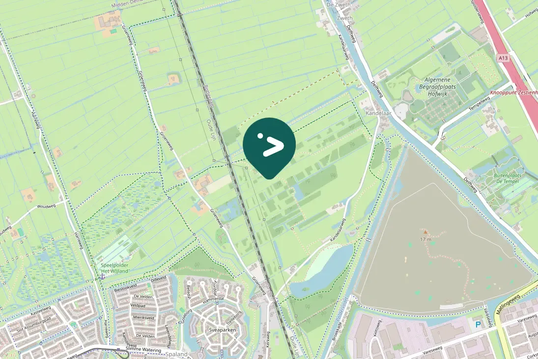 Gespotte Grote zilverreiger