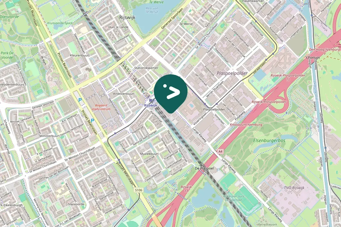 Gespotte Zilvermeeuw