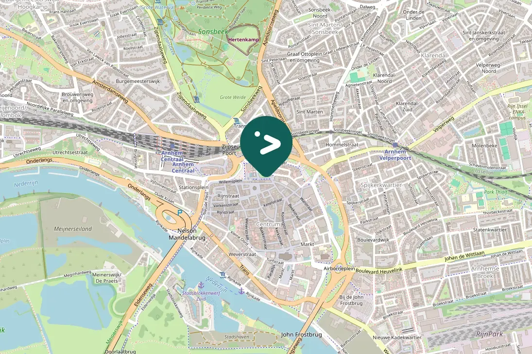 Spotted Bonaparte's Gull