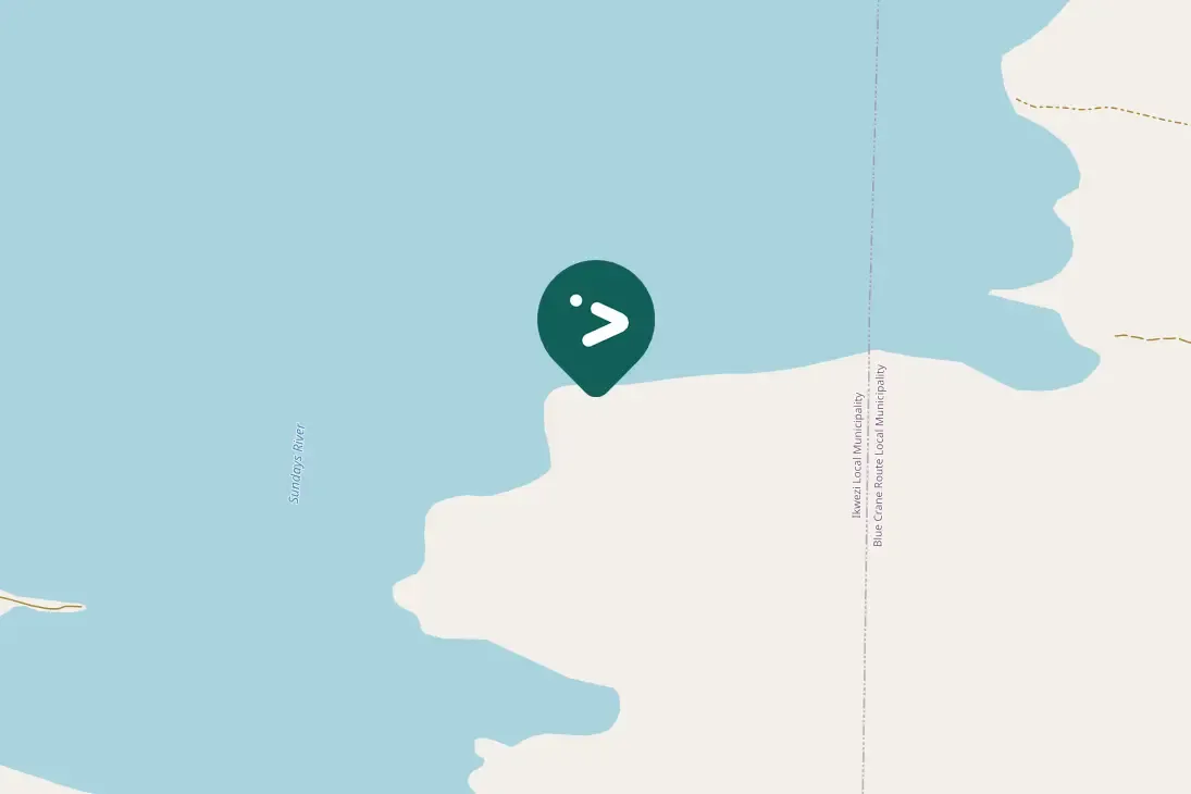 Spotted Lesser Striped Swallow