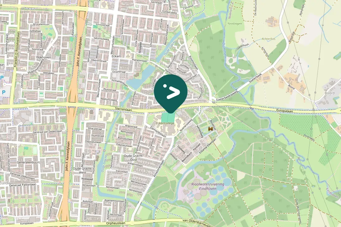 Spotted Egyptian Goose