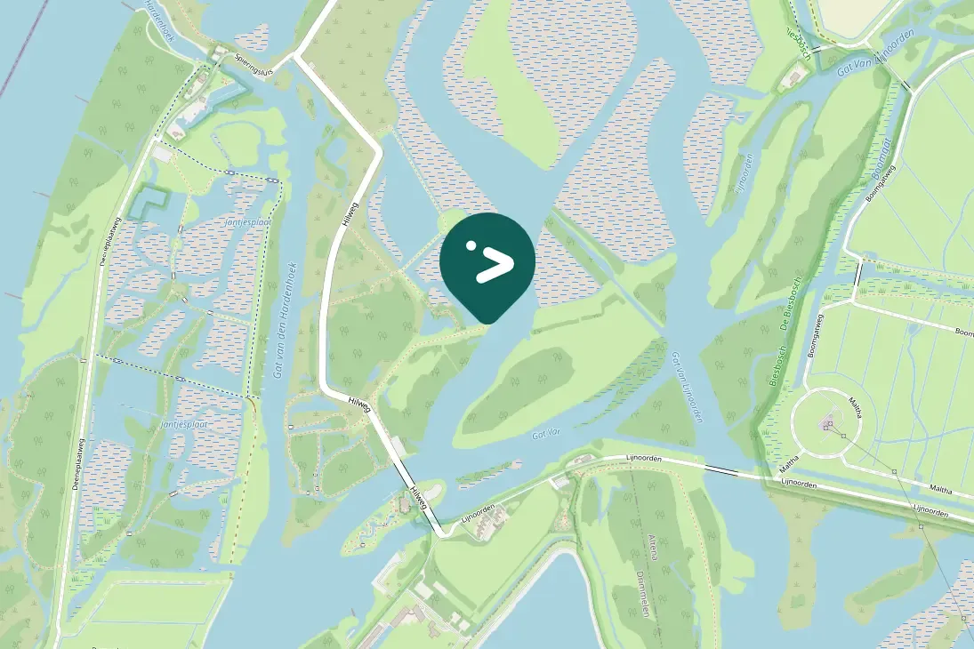 Spotted Northern Lapwing