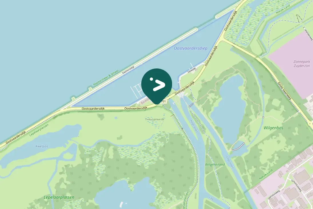 Spotted White Wagtail