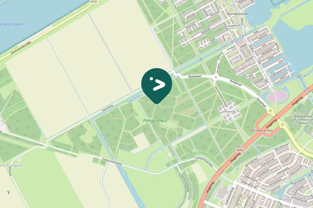 Spotted Common Buzzard