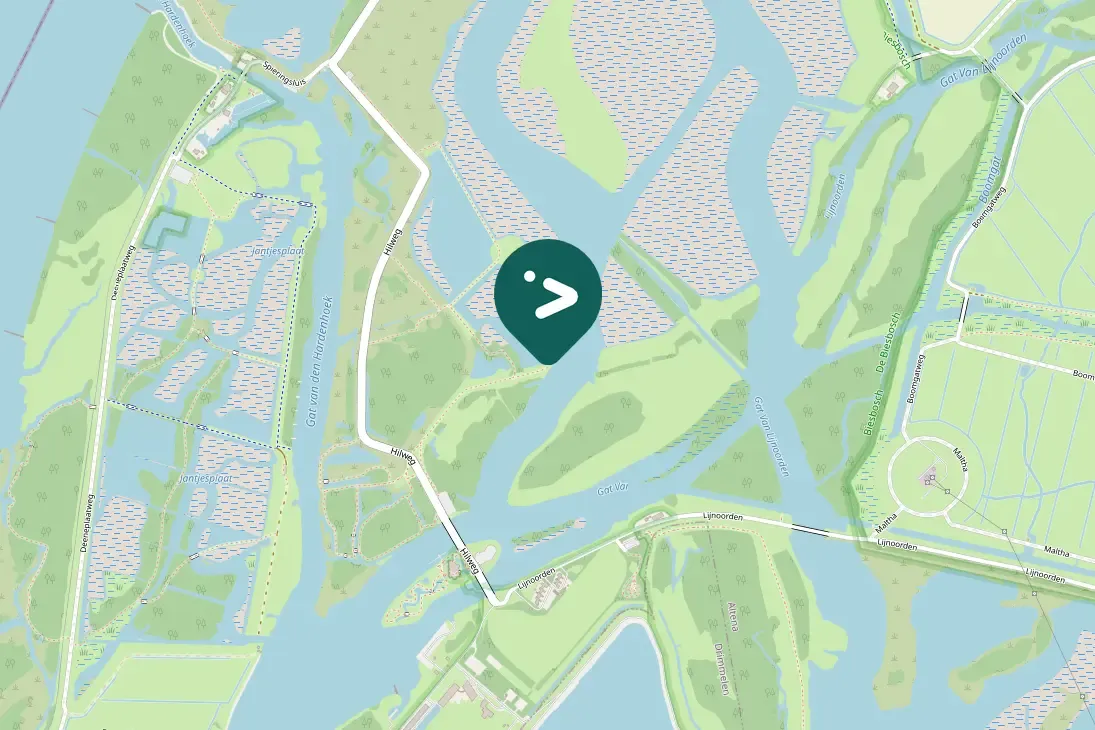 Spotted White-tailed Eagle