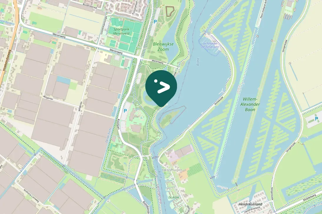 Spotted Eurasian Curlew