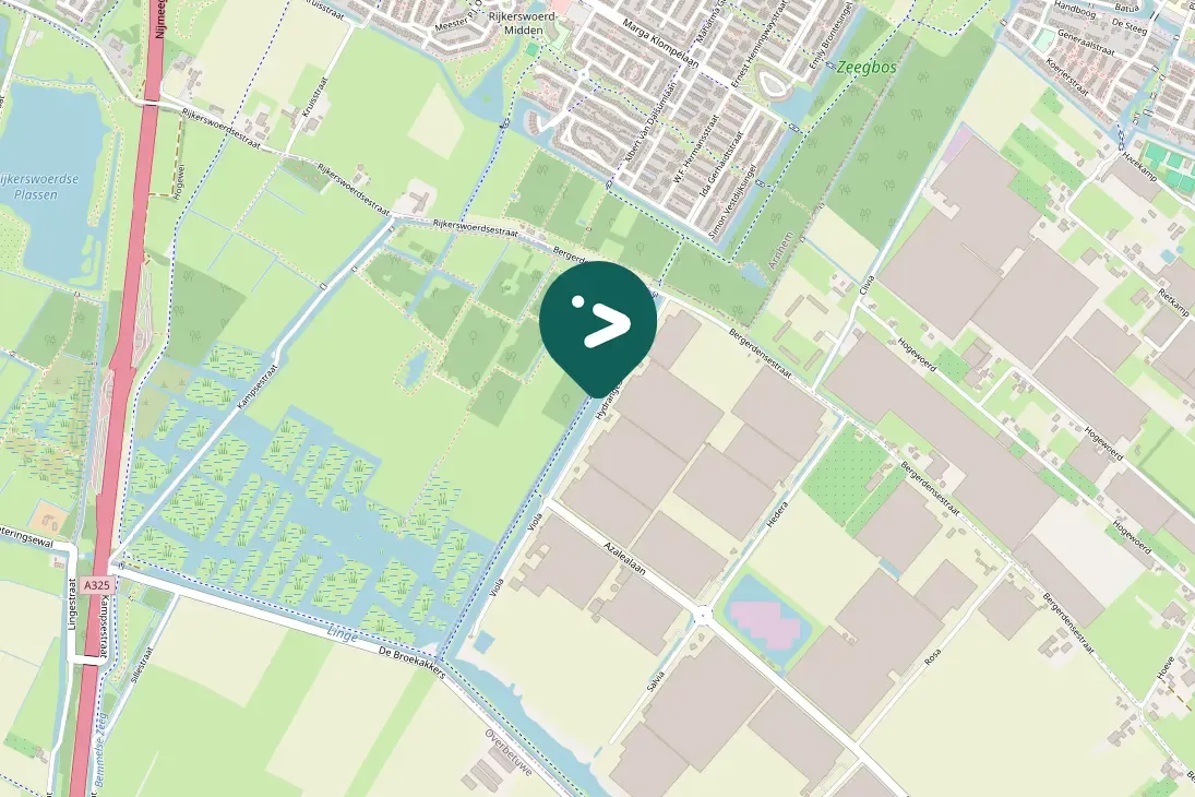 Spotted Greater White-fronted Goose