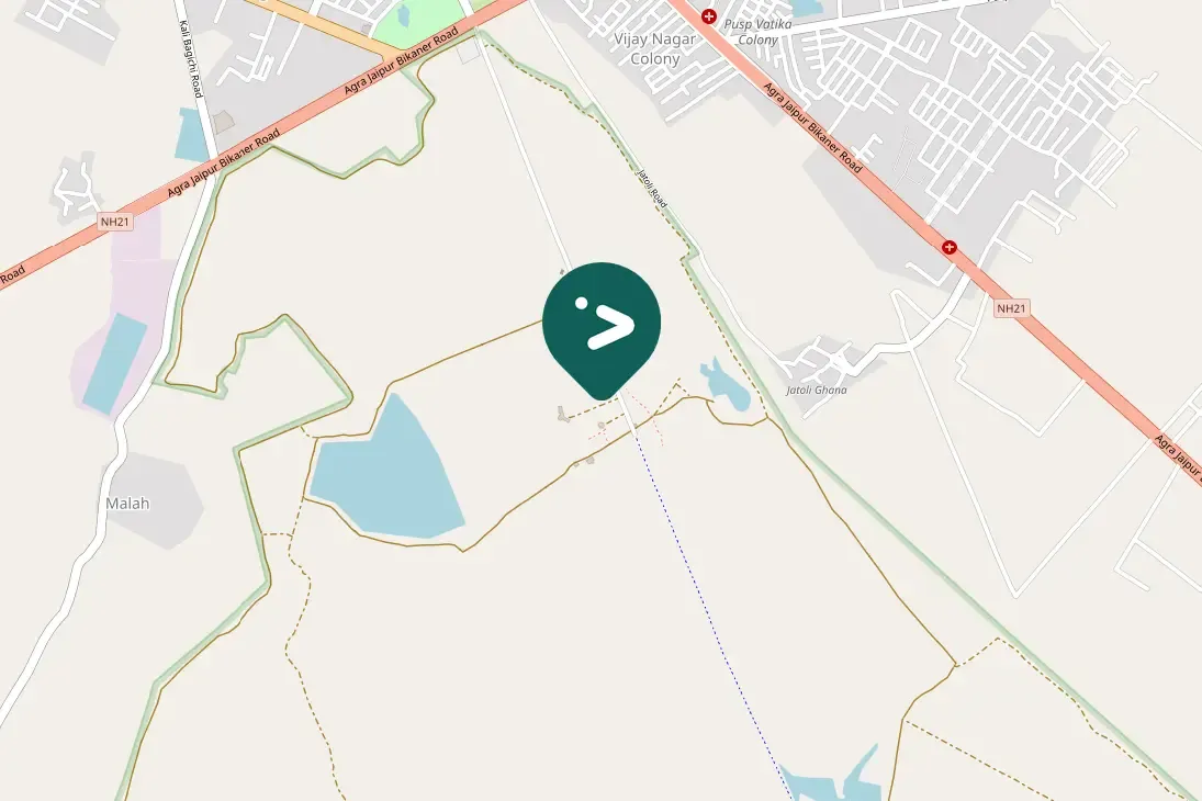 Spotted Oriental Darter