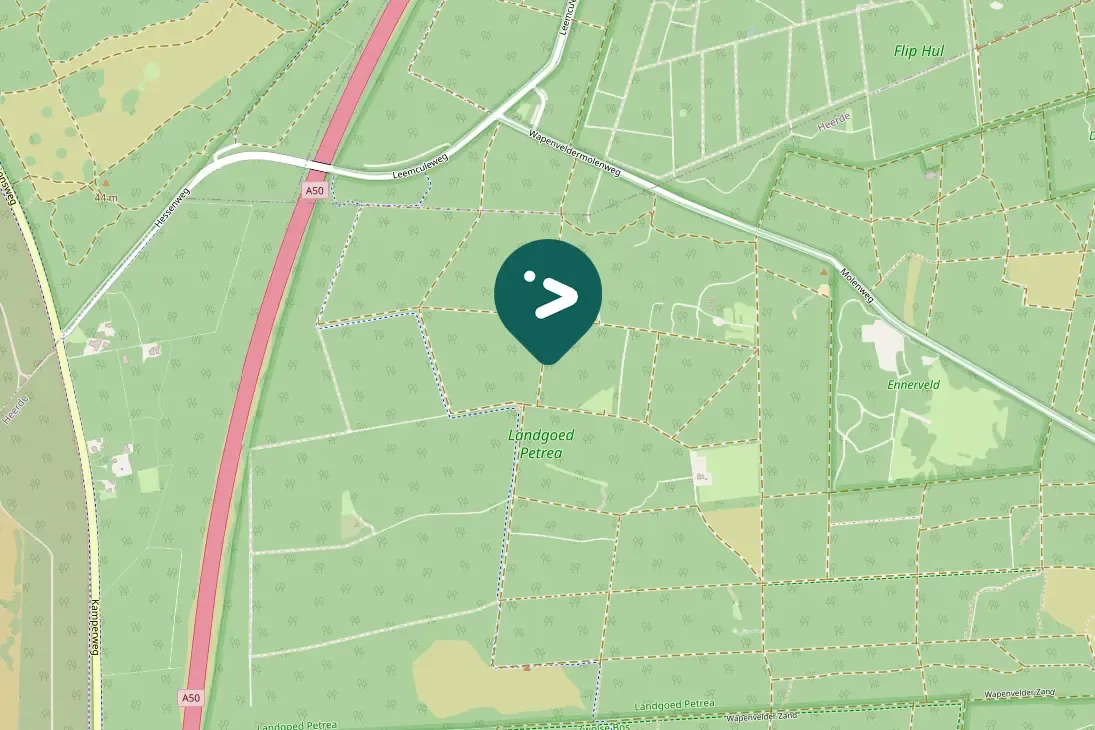 Spotted Great Spotted Woodpecker