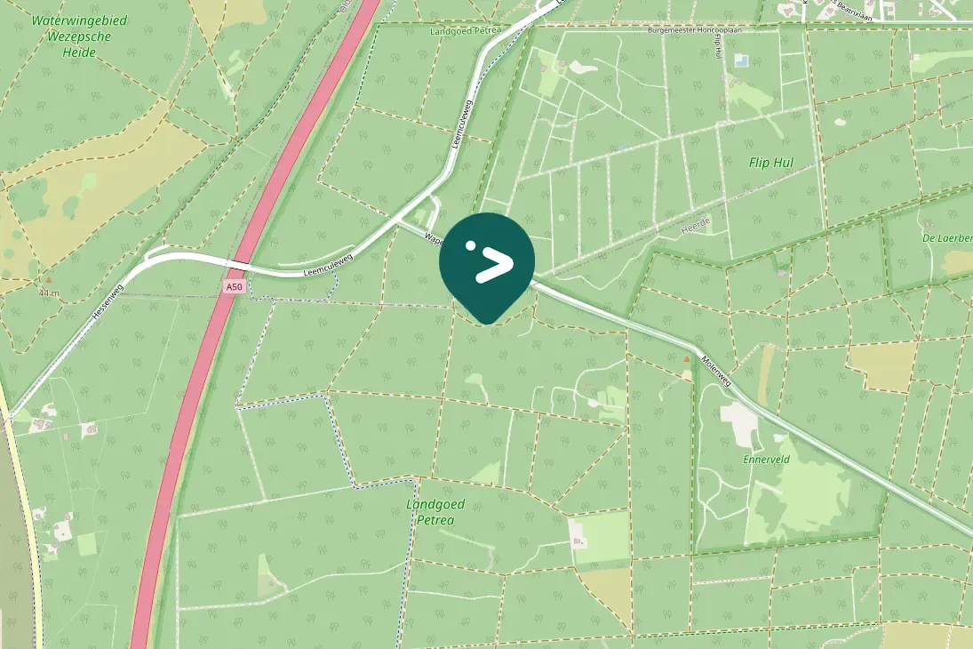 Spotted Black Woodpecker