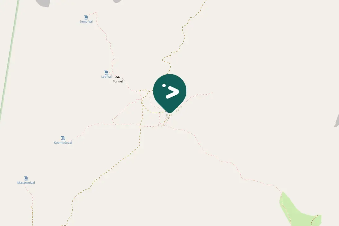 Spotted Broad-winged Hawk