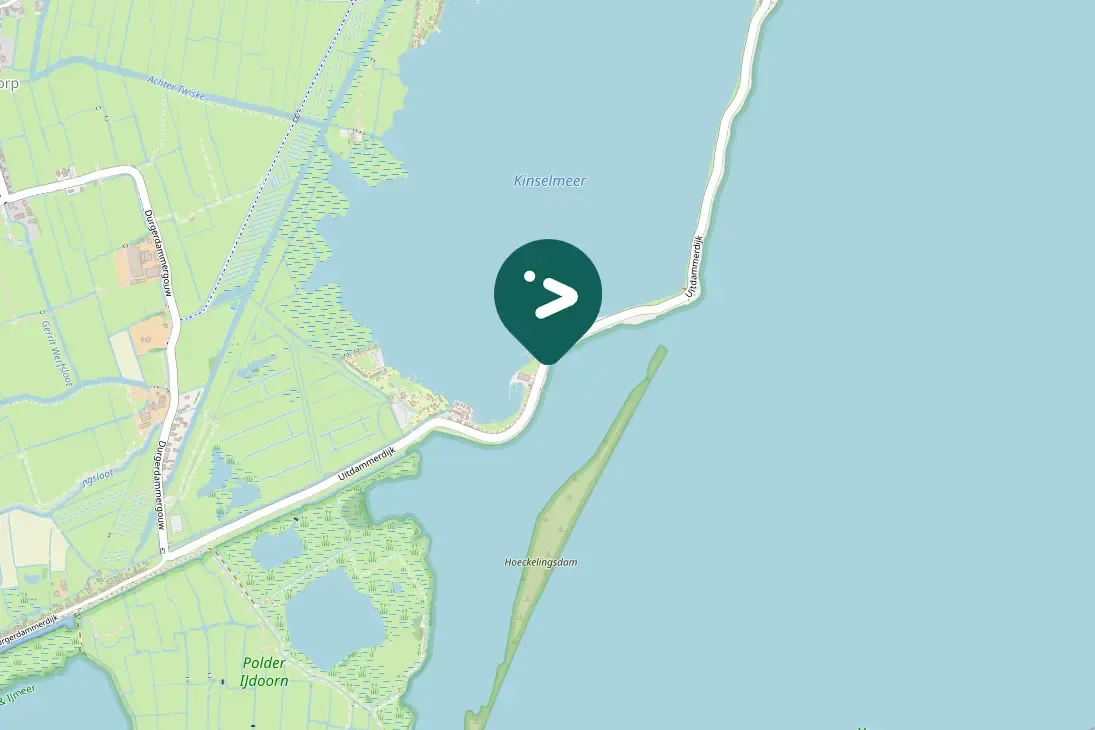 Spotted Eurasian Wigeon