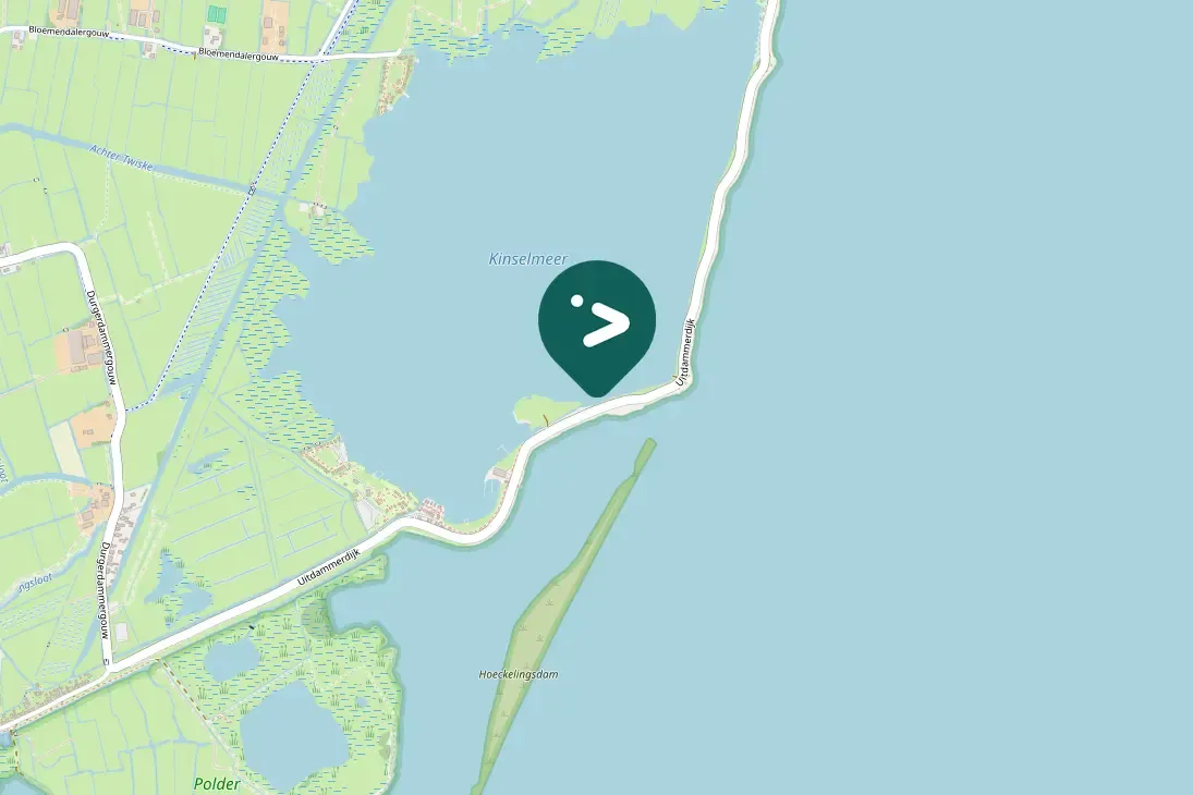 Spotted Northern Pintail